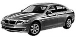 BMW F10 P274D Fault Code